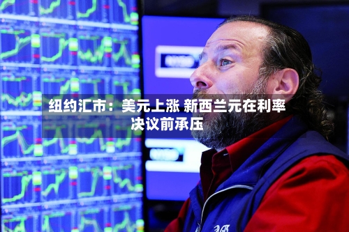 纽约汇市：美元上涨 新西兰元在利率决议前承压