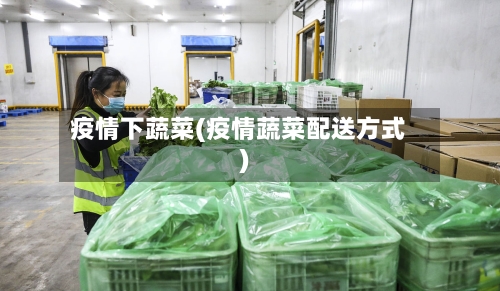 疫情下蔬菜(疫情蔬菜配送方式)